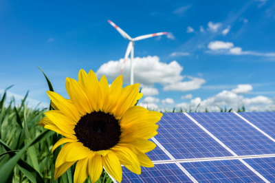 Beratung zu Photovoltaik und regenerativer Energien